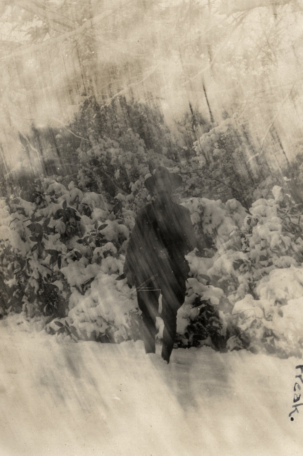 Photo from page 41 of album WWI Photograph Album  - England