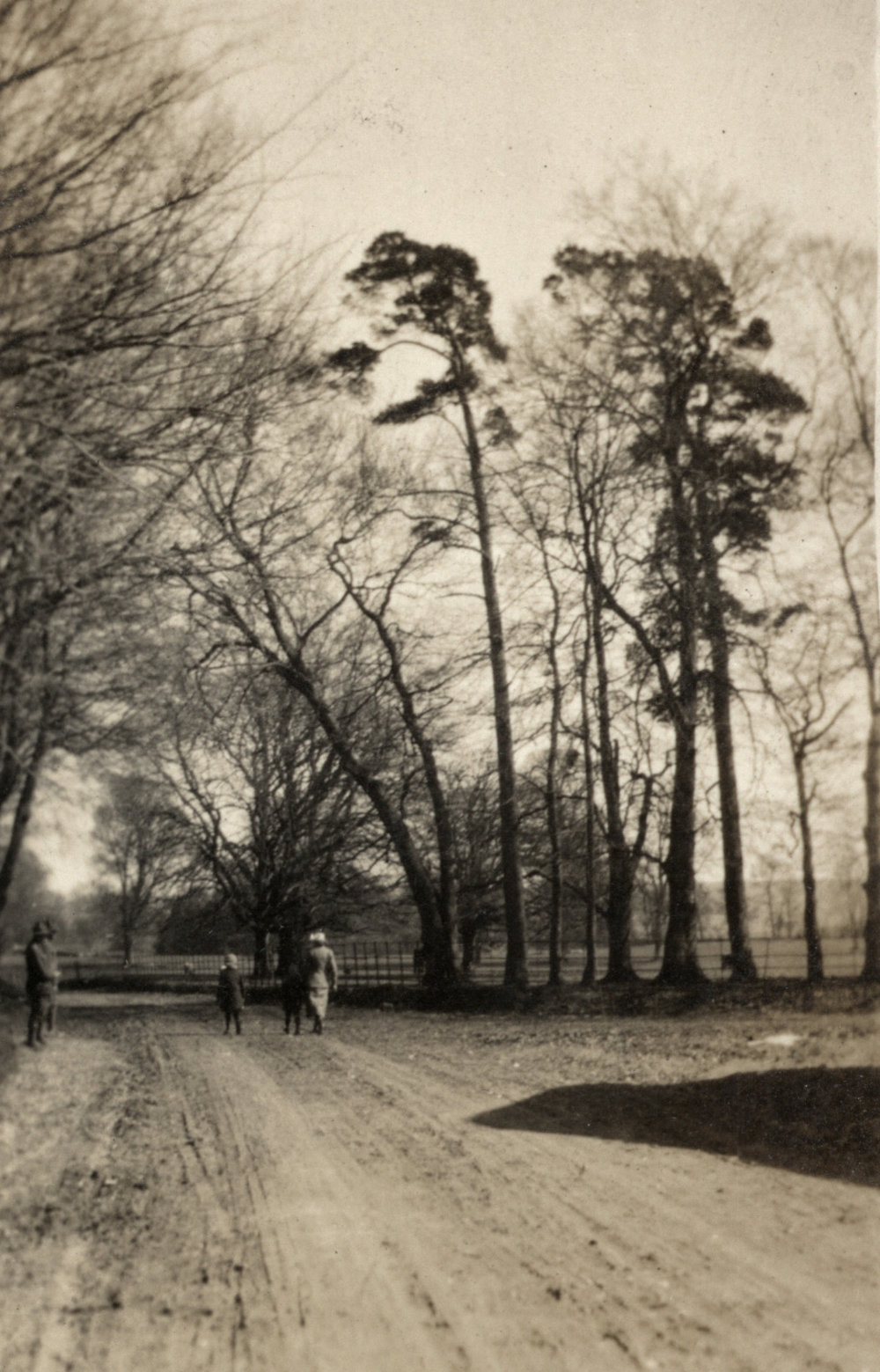 Photo from page 55 of album WWI Photograph Album  - England