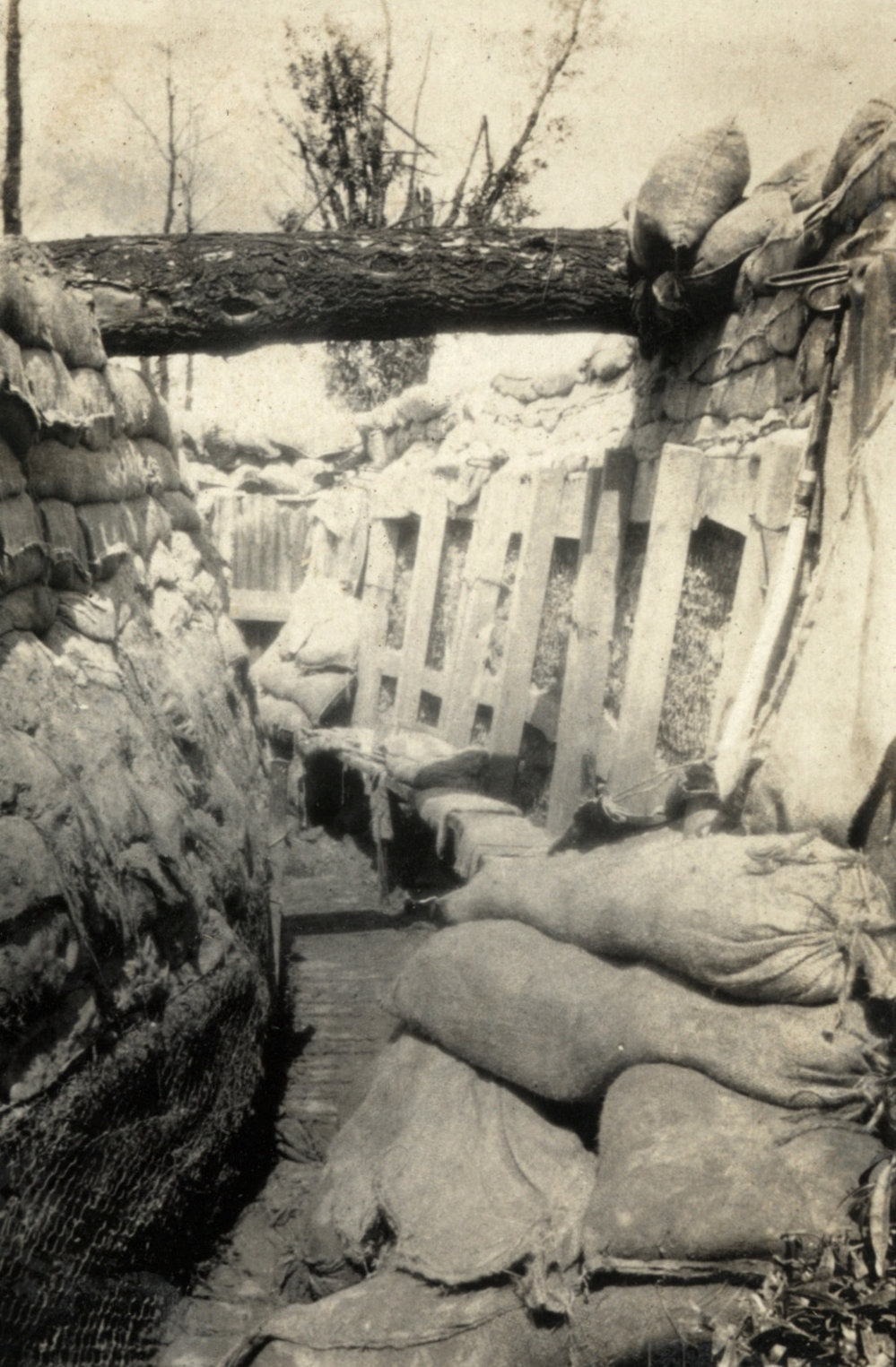 Photo from page 03 of album WWI Photograph Album  - Western Front