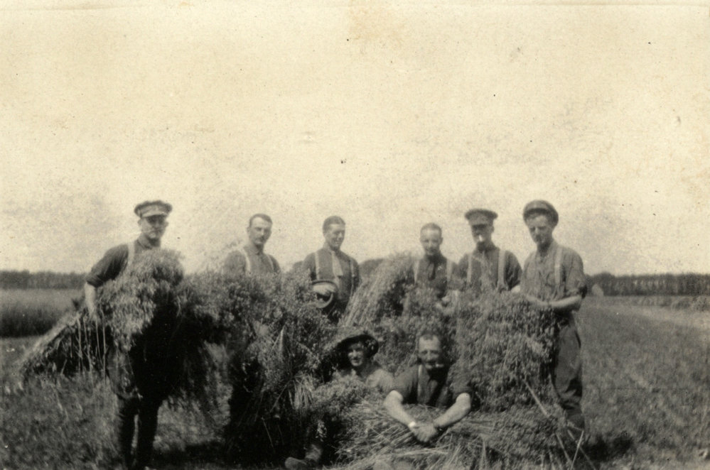 Photo from page 04 of album WWI Photograph Album  - Western Front