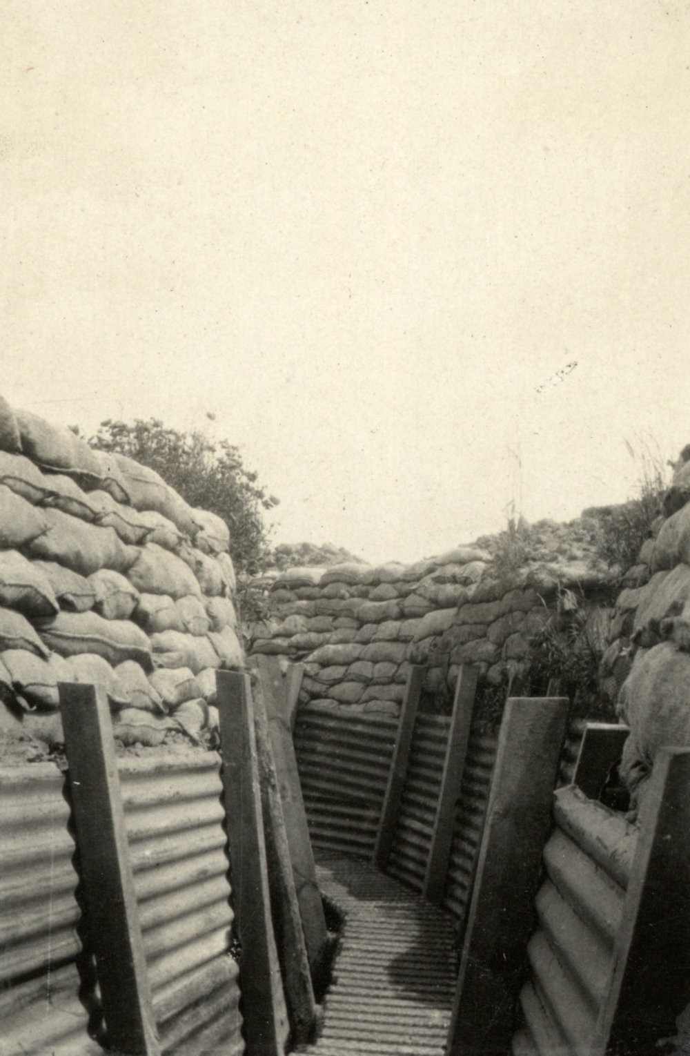 Photo from page 08 of album WWI Photograph Album  - Western Front
