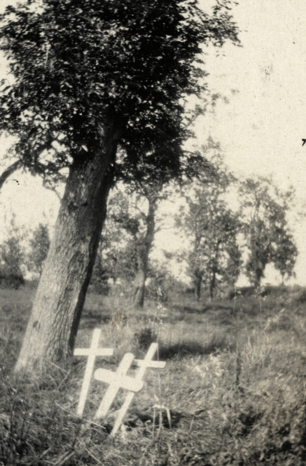 Photo from page 09 of album WWI Photograph Album  - Western Front