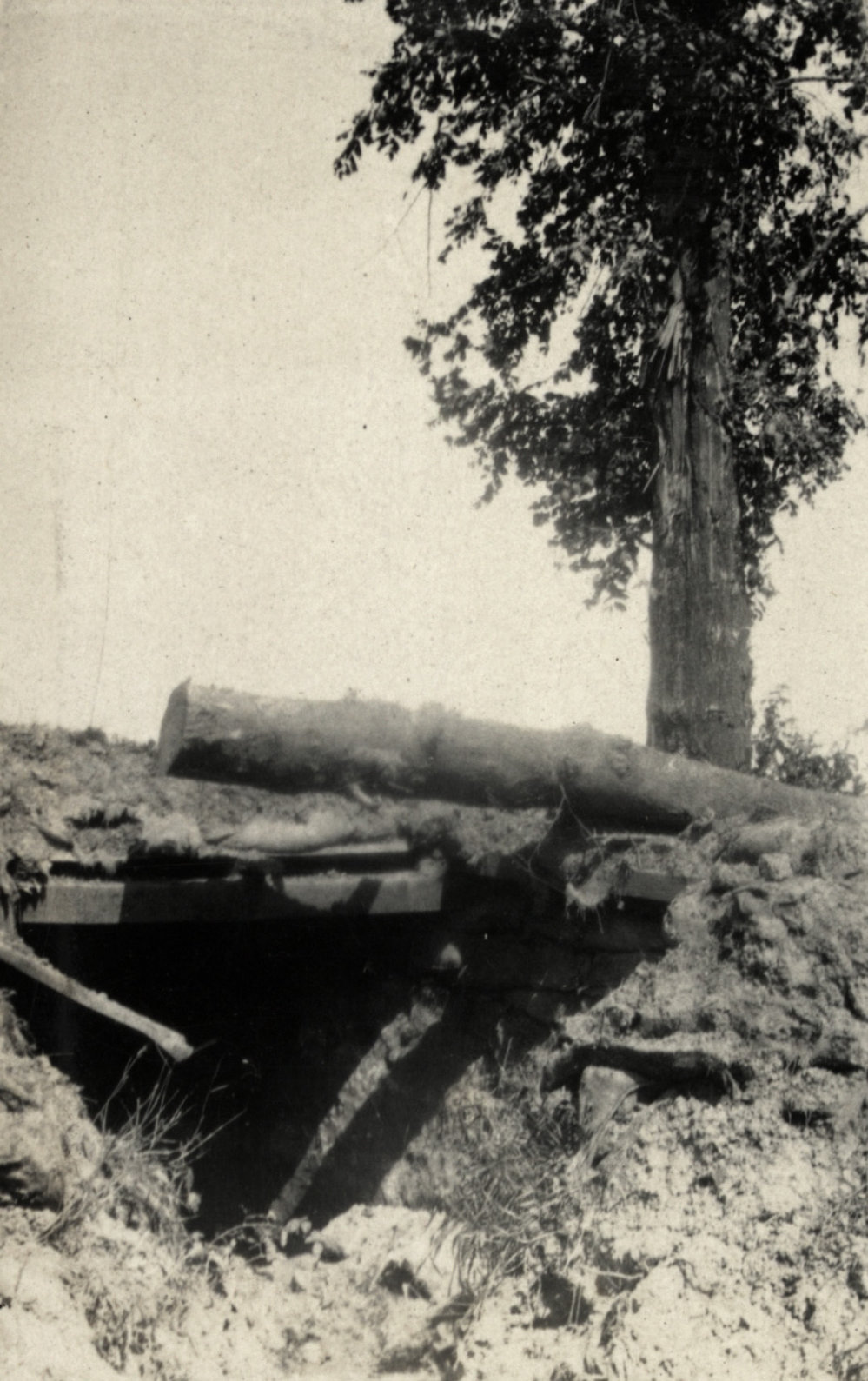 Photo from page 09 of album WWI Photograph Album  - Western Front