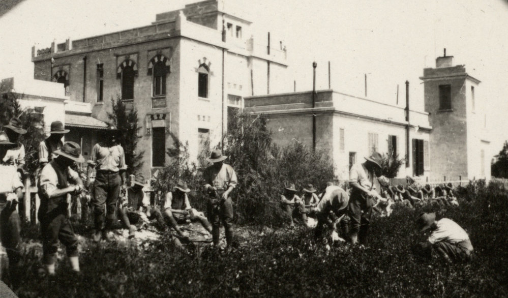 Photo from page 09 of album WWI Photograph Album  - Egypt &amp; Gallipoli