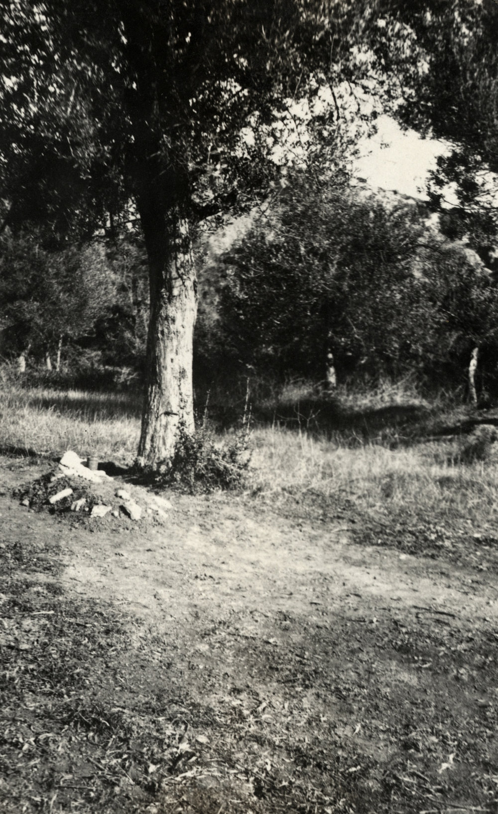 Photo from page 32 of album WWI Photograph Album  - Egypt &amp; Gallipoli