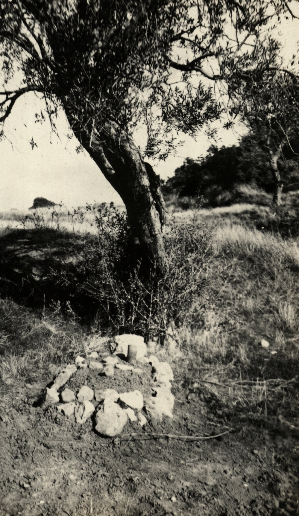 Photo from page 32 of album WWI Photograph Album  - Egypt &amp; Gallipoli