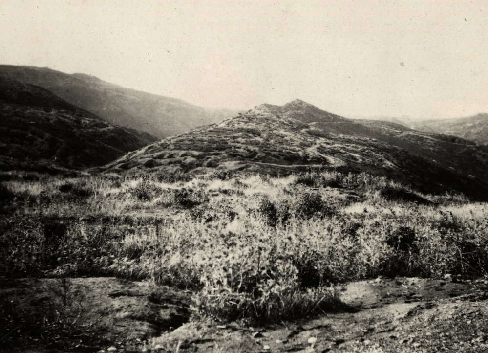 Photo from page 33 of album WWI Photograph Album  - Egypt &amp; Gallipoli