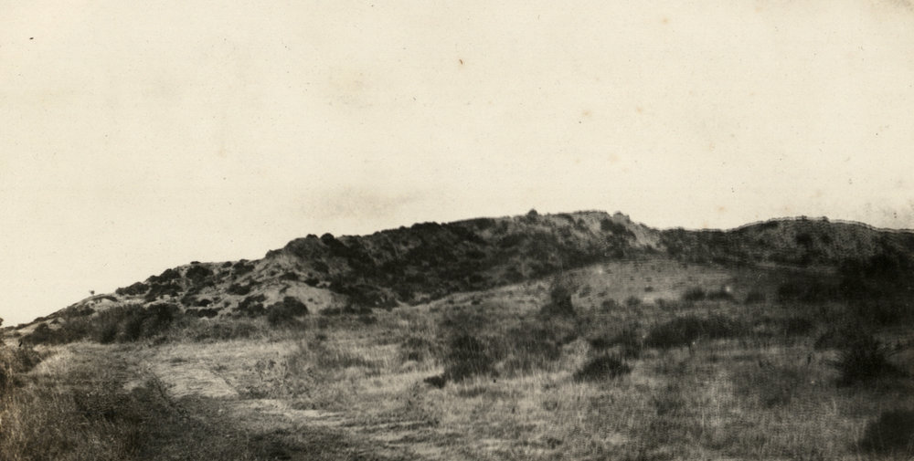 Photo from page 35 of album WWI Photograph Album  - Egypt &amp; Gallipoli