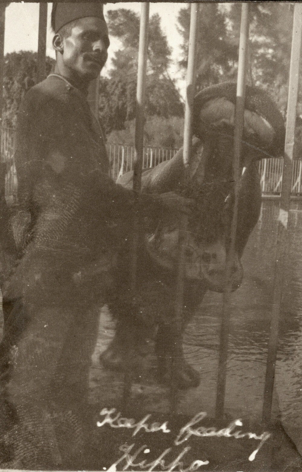 Photo from page 08 of album WWI Photograph Album  - Gallipoli, Sinai &amp; Palestine