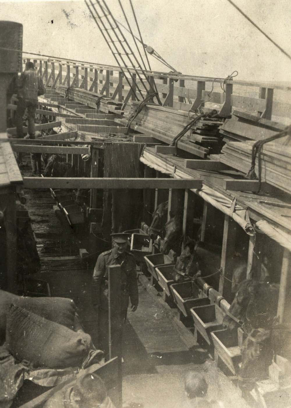 Photo from page 03 of album WWI Photograph Album  - Sinai &amp; Palestine