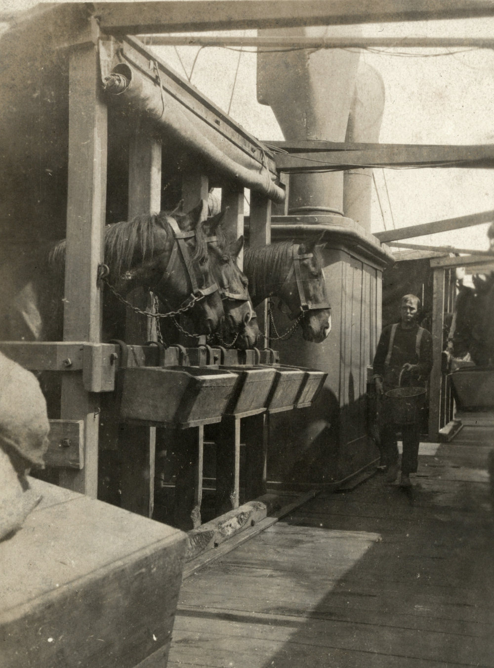 Photo from page 03 of album WWI Photograph Album  - Sinai &amp; Palestine