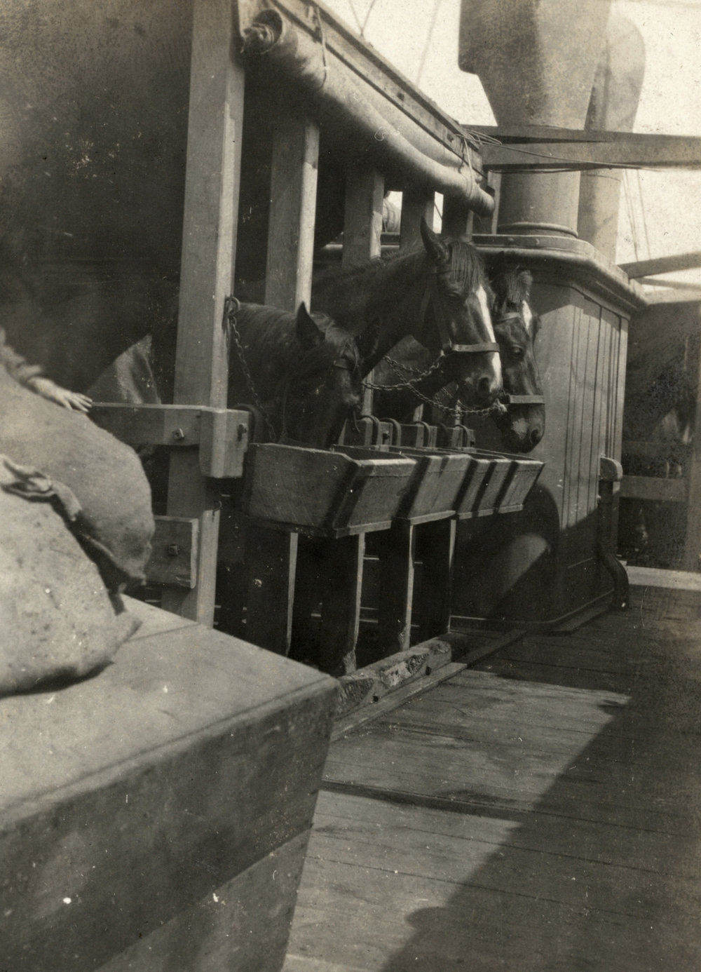 Photo from page 03 of album WWI Photograph Album  - Sinai &amp; Palestine