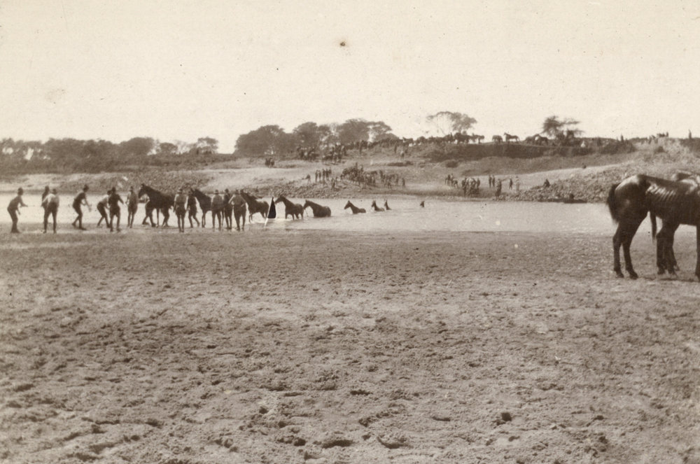 Photo from page 06 of album WWI Photograph Album  - Sinai &amp; Palestine