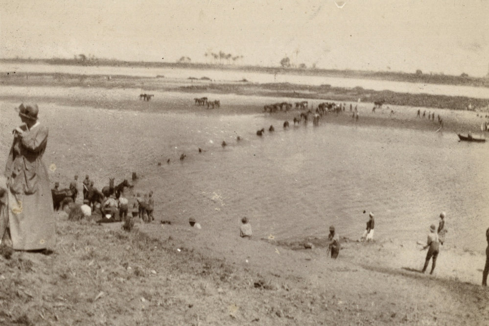 Photo from page 06 of album WWI Photograph Album  - Sinai &amp; Palestine