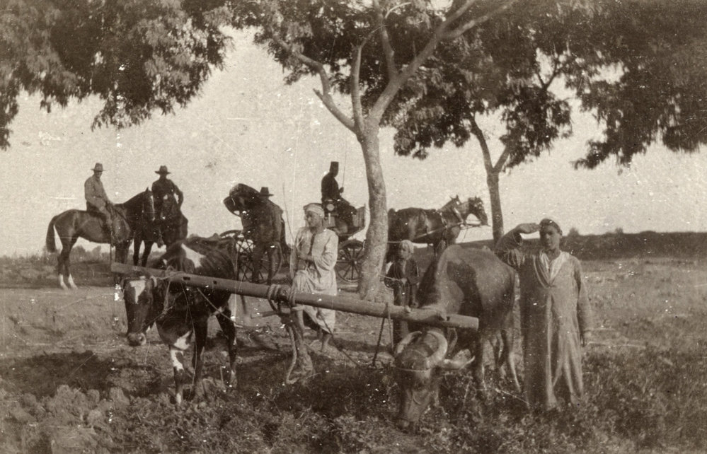 Photo from page 07 of album WWI Photograph Album  - Sinai &amp; Palestine