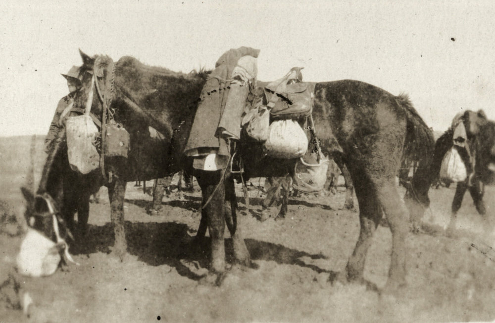 Photo from page 09 of album WWI Photograph Album  - Sinai &amp; Palestine