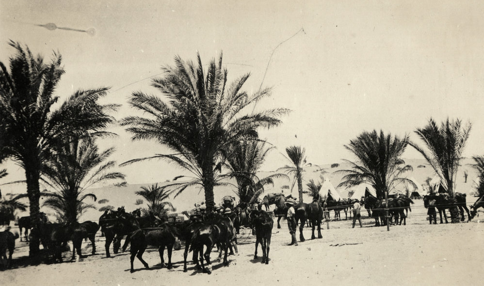 Photo from page 10 of album WWI Photograph Album  - Sinai &amp; Palestine