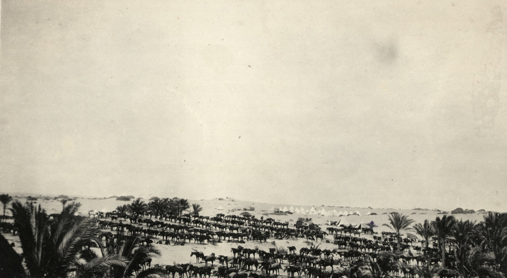 Photo from page 10 of album WWI Photograph Album  - Sinai &amp; Palestine