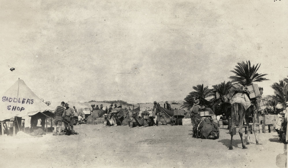 Photo from page 11 of album WWI Photograph Album  - Sinai &amp; Palestine