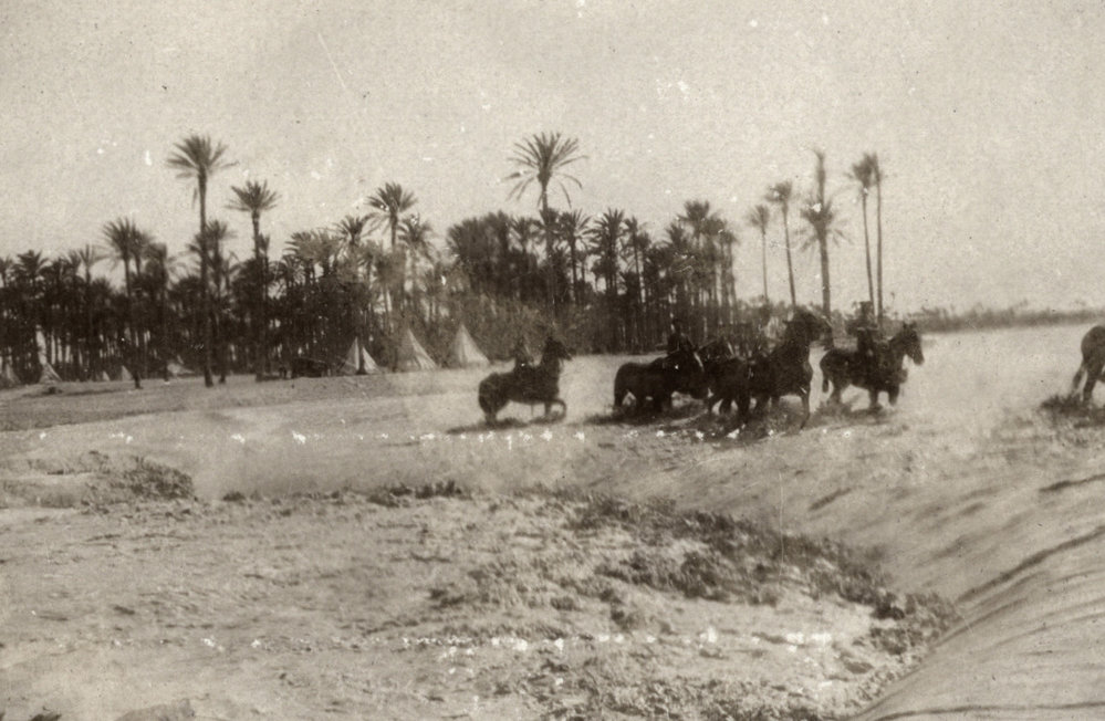 Photo from page 13 of album WWI Photograph Album  - Sinai &amp; Palestine