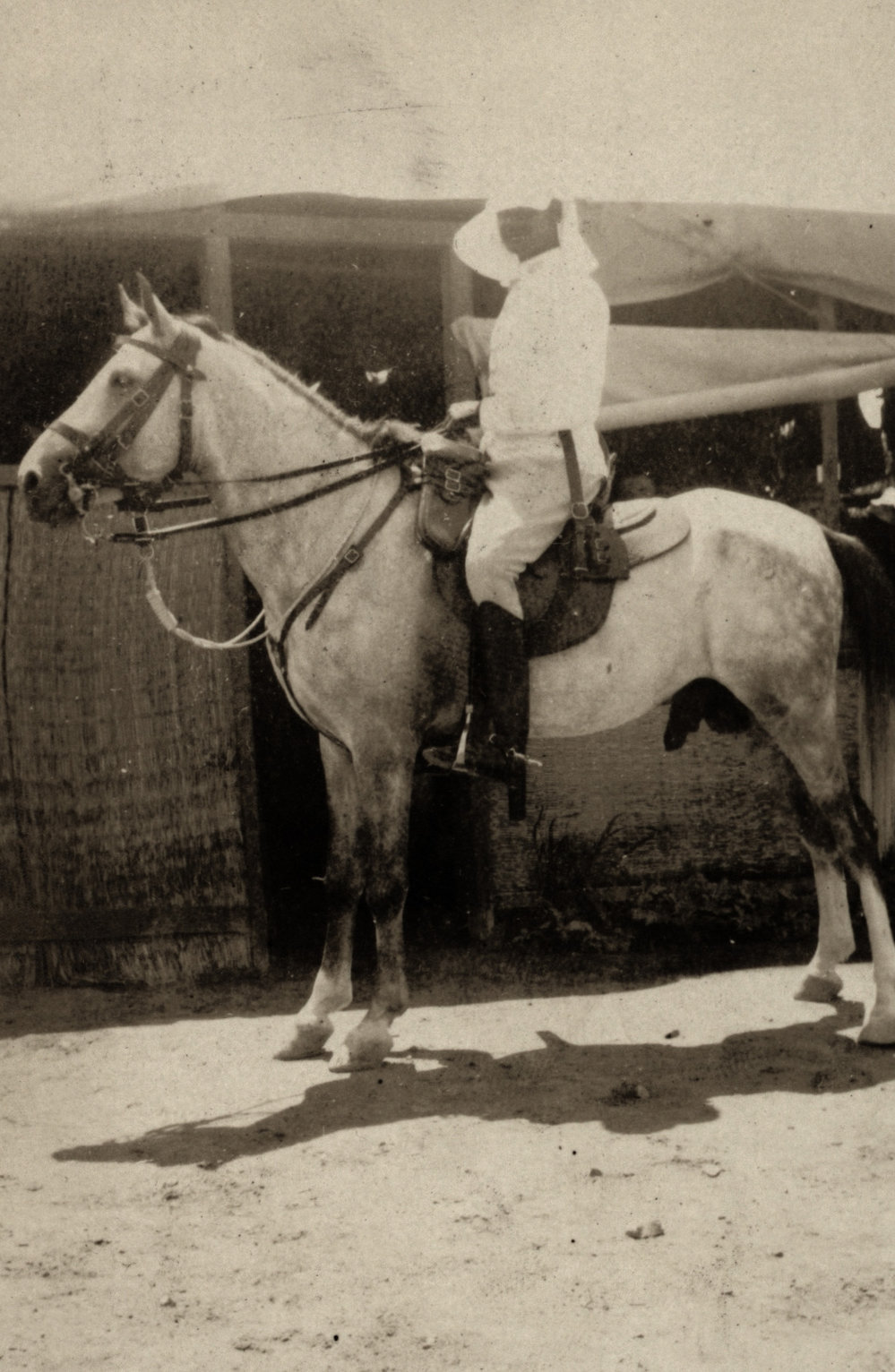 Photo from page 14 of album WWI Photograph Album  - Sinai &amp; Palestine