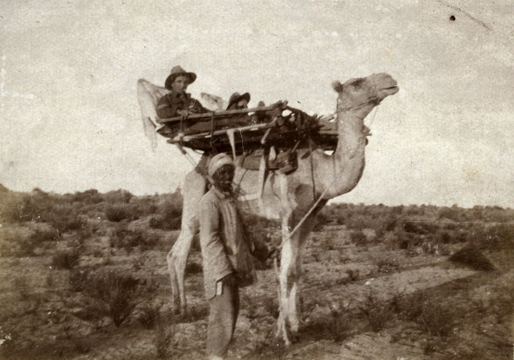 Photo from page 14 of album WWI Photograph Album  - Sinai &amp; Palestine