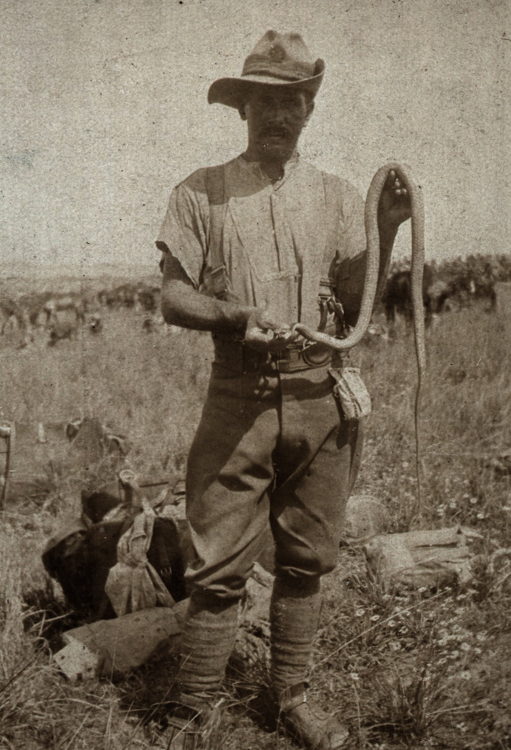 Photo from page 15 of album WWI Photograph Album  - Sinai &amp; Palestine