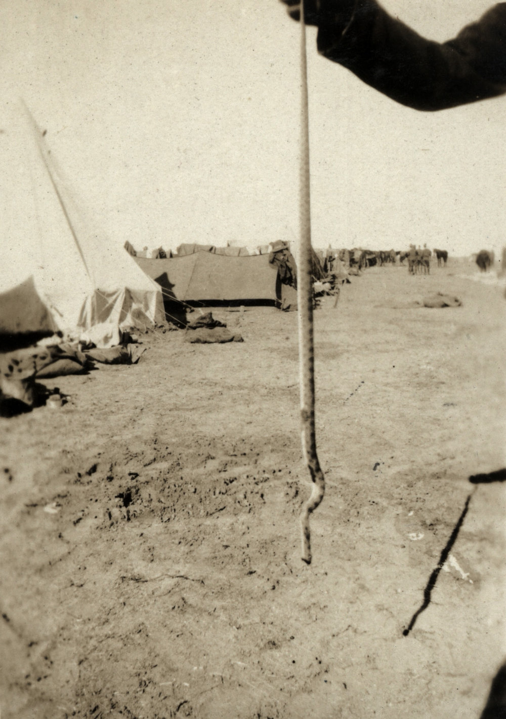 Photo from page 16 of album WWI Photograph Album  - Sinai &amp; Palestine