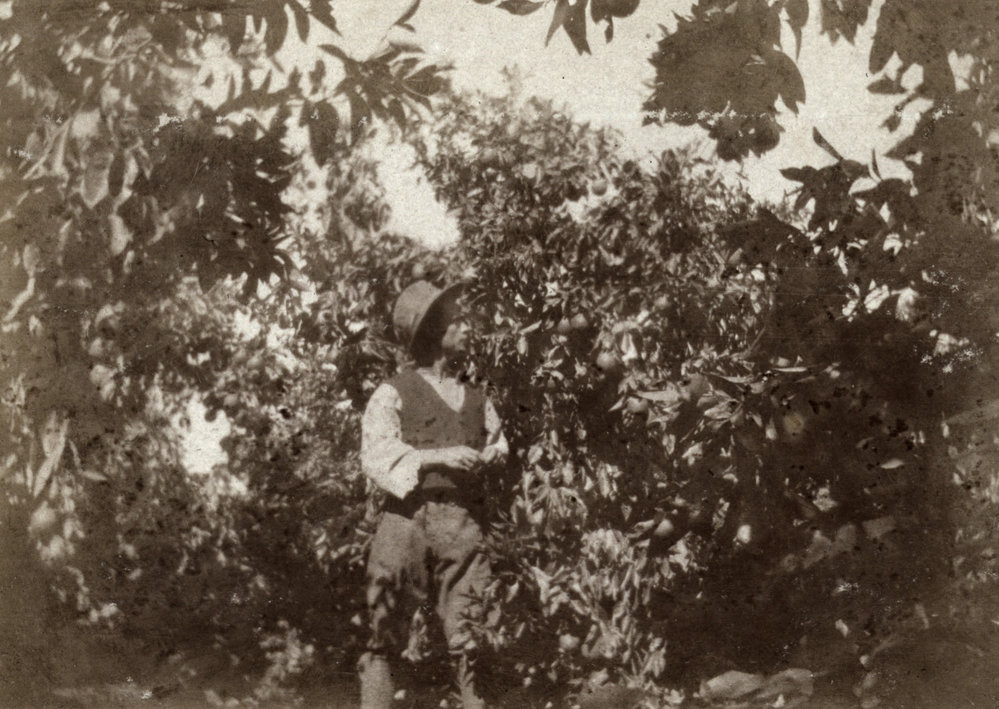 Photo from page 16 of album WWI Photograph Album  - Sinai &amp; Palestine