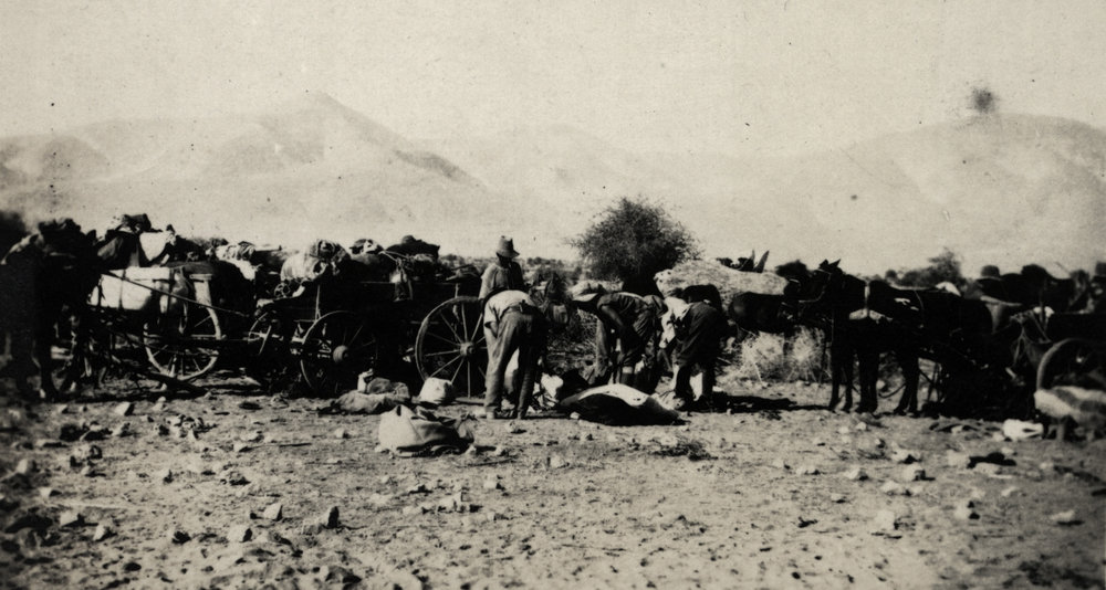 Photo from page 26 of album WWI Photograph Album  - Sinai &amp; Palestine