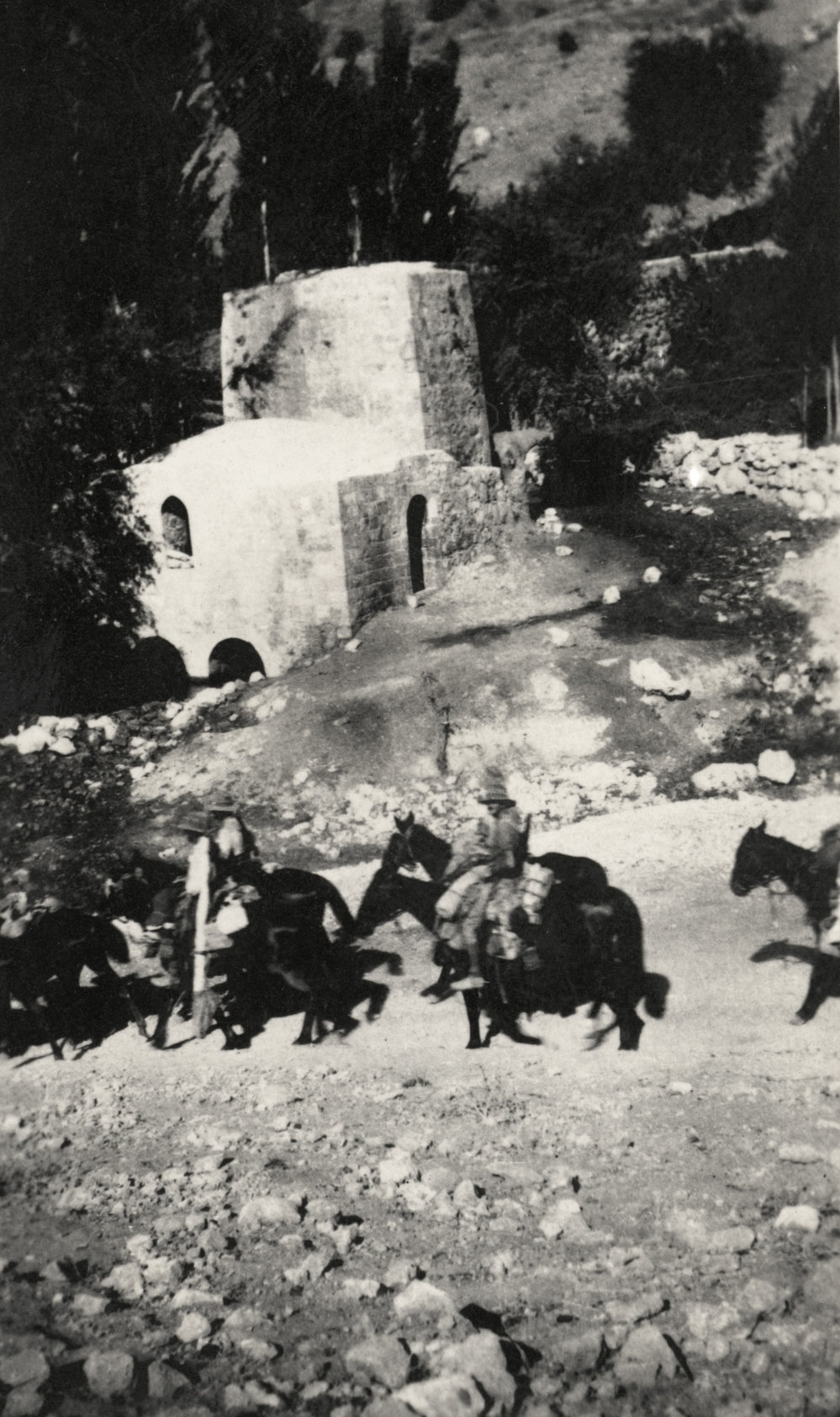 Photo from page 26 of album WWI Photograph Album  - Sinai &amp; Palestine