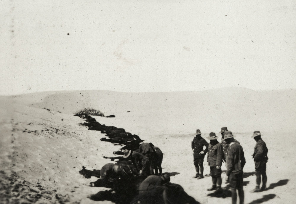 Photo from page 29 of album WWI Photograph Album  - Sinai &amp; Palestine