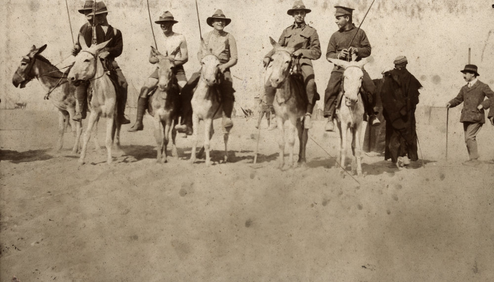Photo from page 06 of album WWI Photograph Album  - Gallipoli and Sinai &amp; Palestine