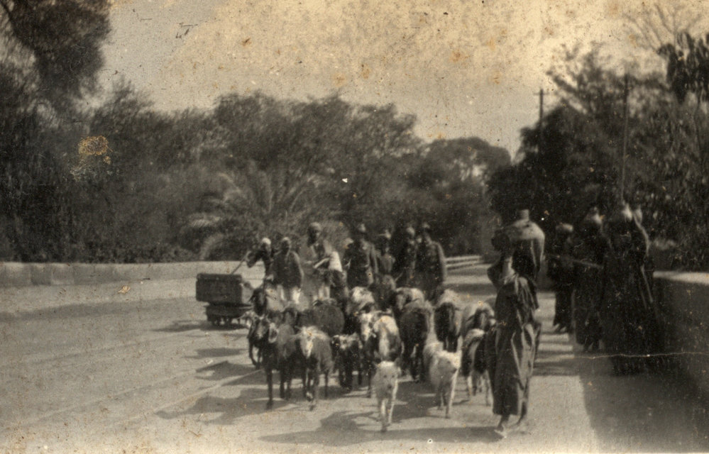 Photo from page 07 of album WWI Photograph Album  - Gallipoli and Sinai &amp; Palestine