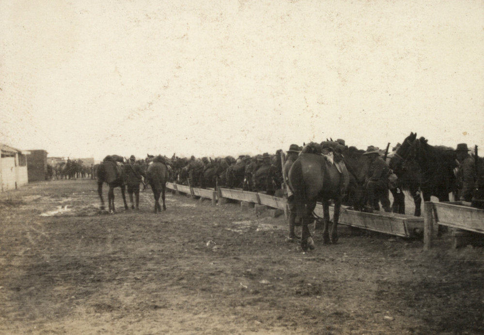 Photo from page 09 of album WWI Photograph Album  - Gallipoli and Sinai &amp; Palestine