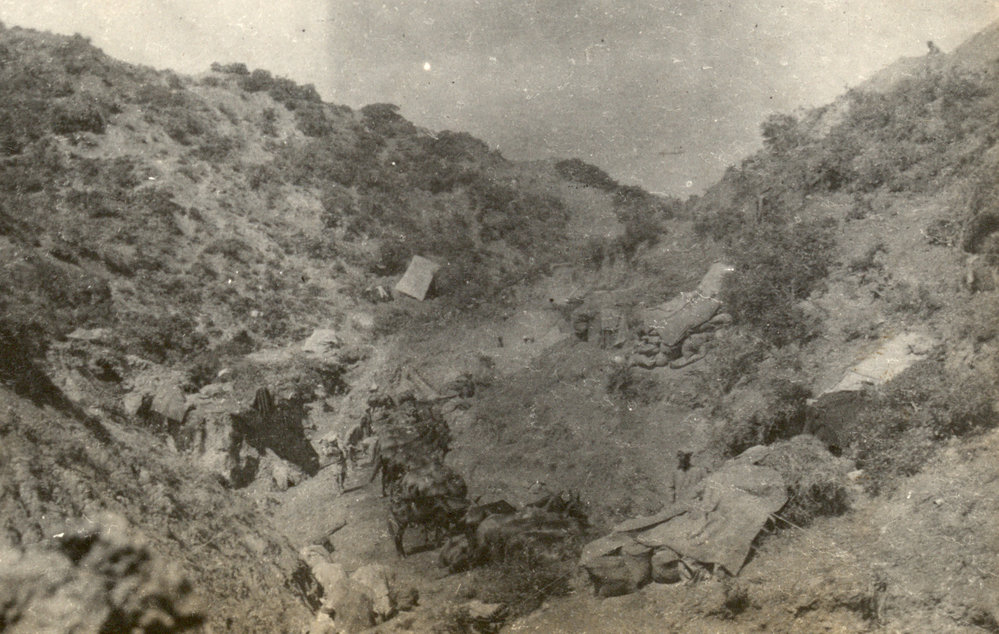 Photo from page 09 of album WWI Photograph Album  - Gallipoli and Sinai &amp; Palestine