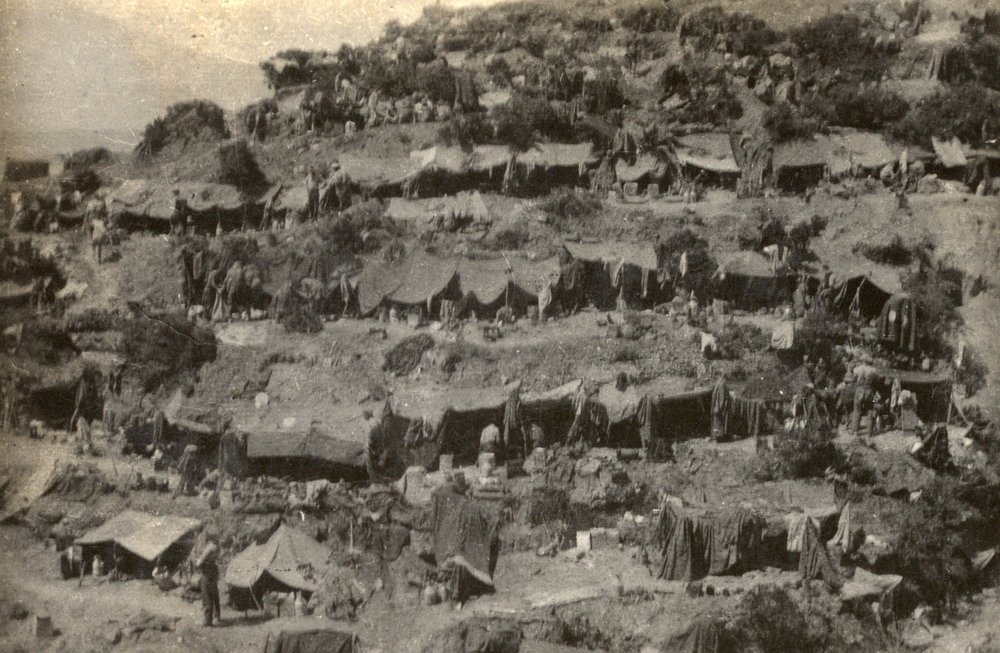 Photo from page 10 of album WWI Photograph Album  - Gallipoli and Sinai &amp; Palestine
