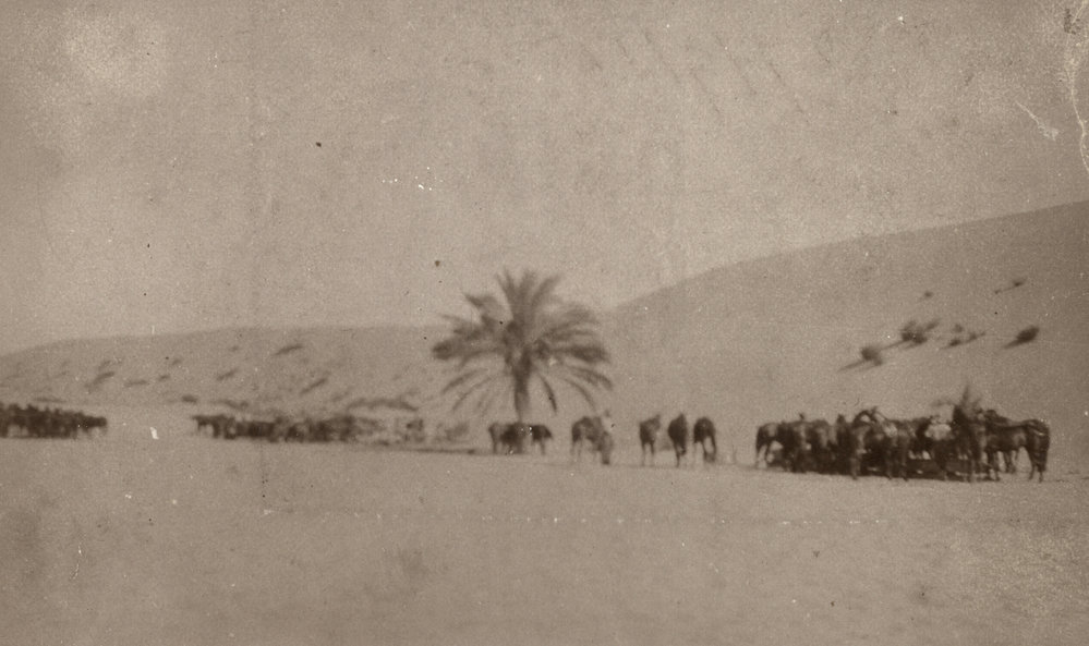 Photo from page 11 of album WWI Photograph Album  - Gallipoli and Sinai &amp; Palestine