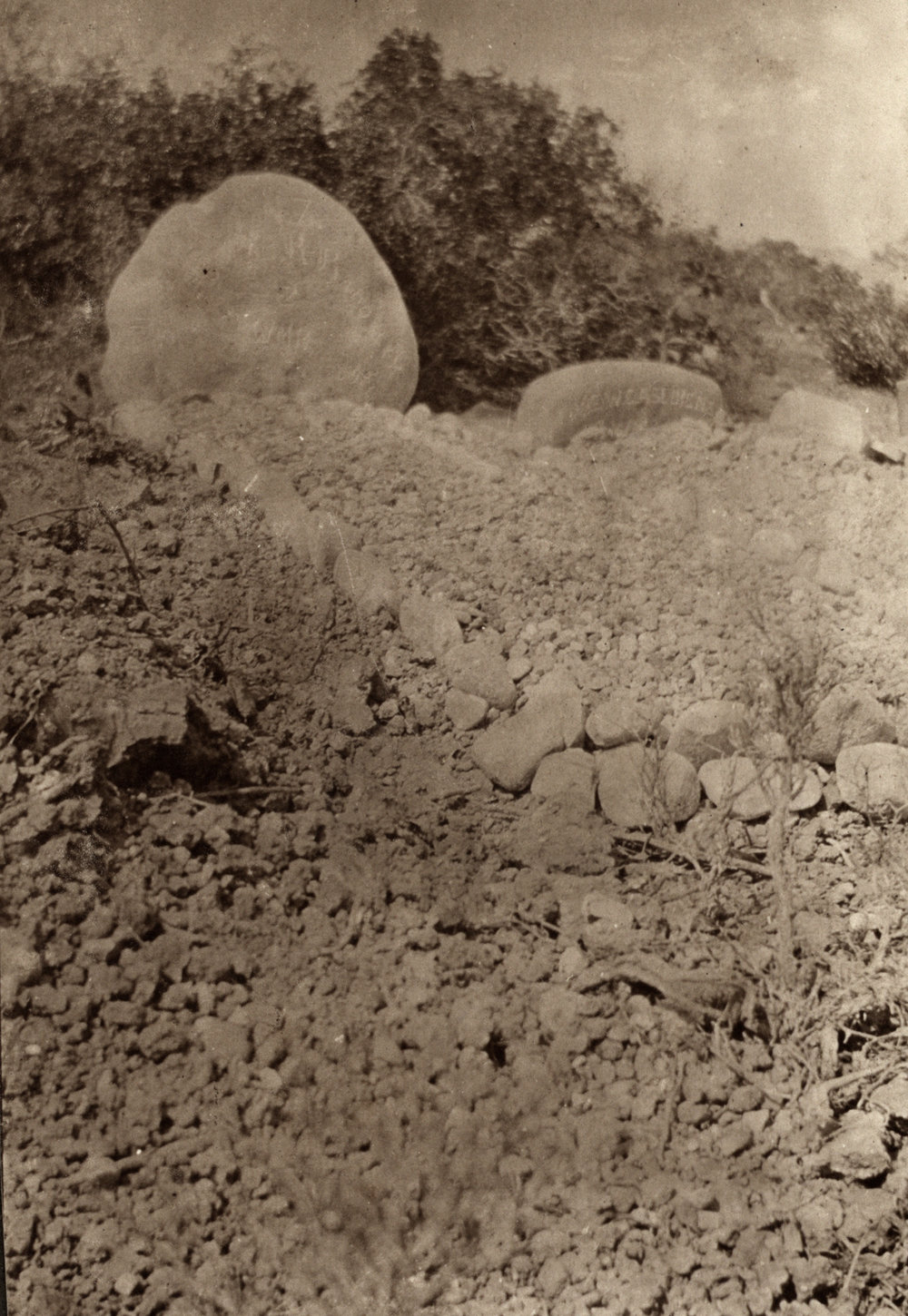 Photo from page 13 of album WWI Photograph Album  - Gallipoli and Sinai &amp; Palestine