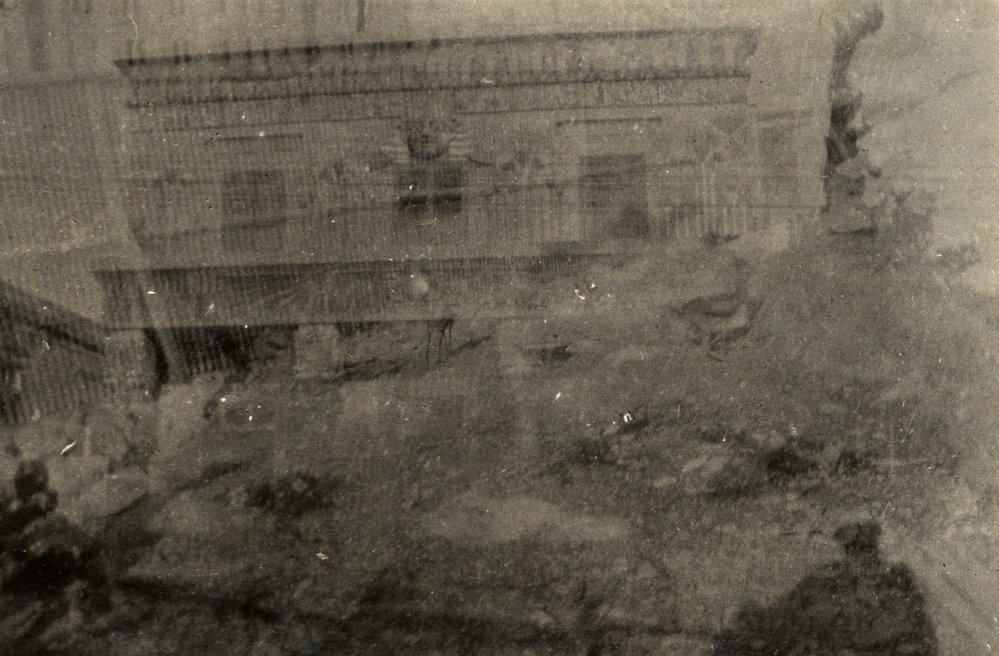 Photo from page 14 of album WWI Photograph Album  - Gallipoli and Sinai &amp; Palestine