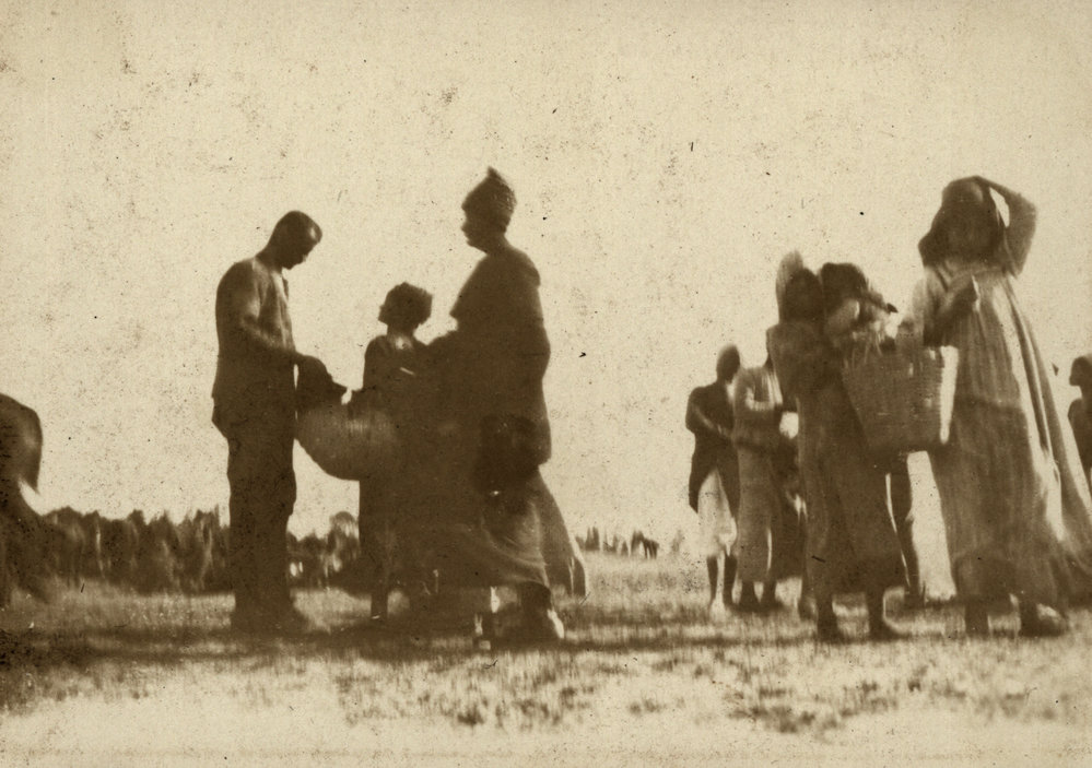 Photo from page 15 of album WWI Photograph Album  - Gallipoli and Sinai &amp; Palestine