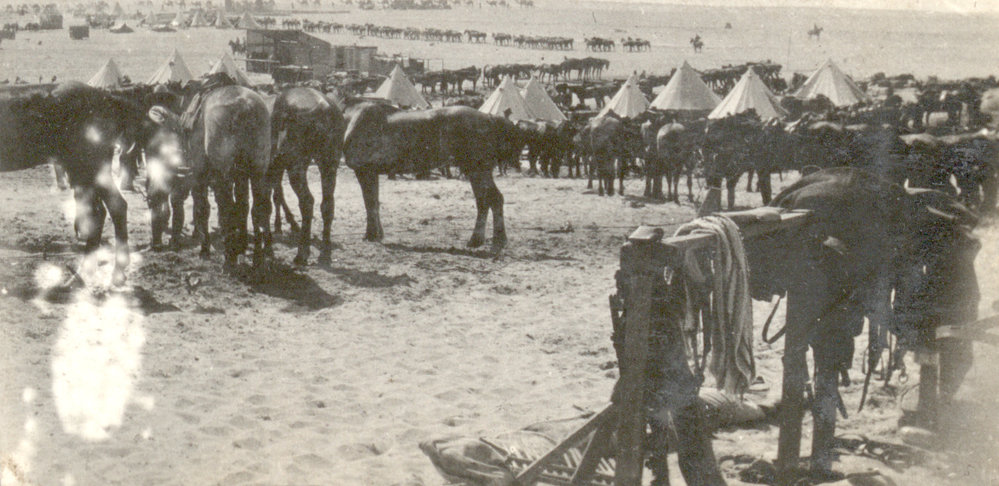 Photo from page 15 of album WWI Photograph Album  - Gallipoli and Sinai &amp; Palestine