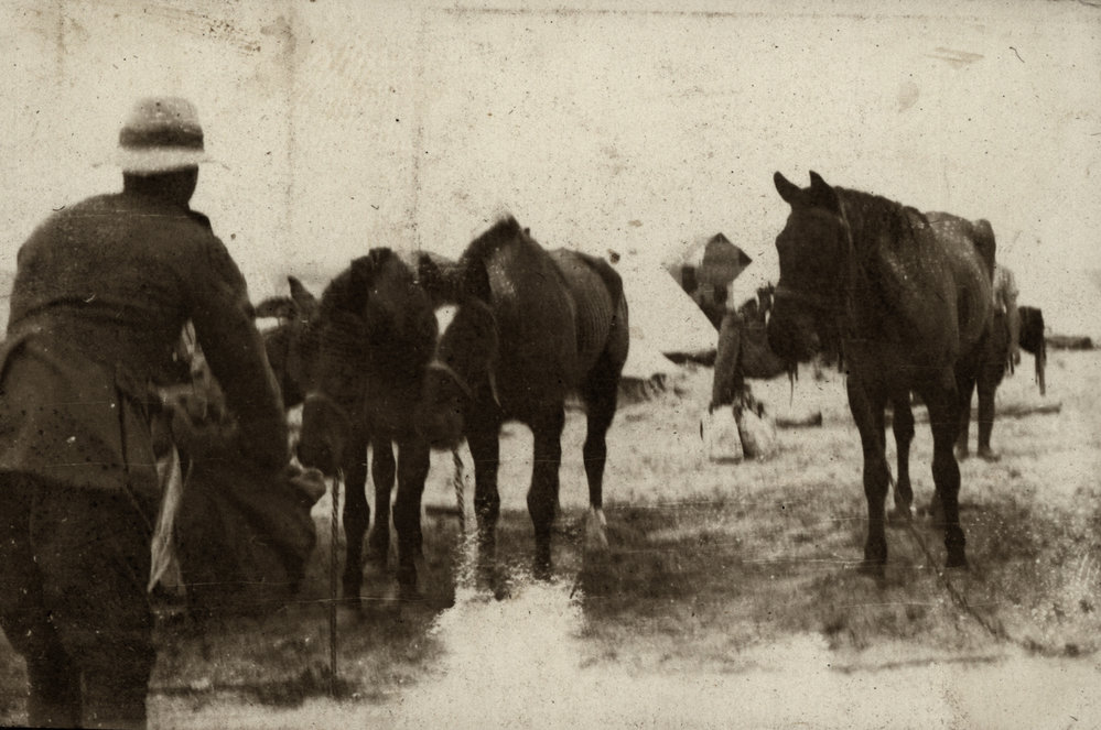 Photo from page 16 of album WWI Photograph Album  - Gallipoli and Sinai &amp; Palestine