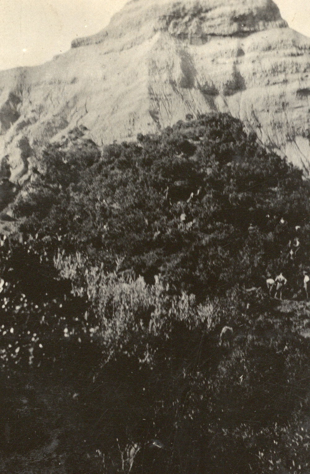 Photo from page 16 of album WWI Photograph Album  - Gallipoli and Sinai &amp; Palestine