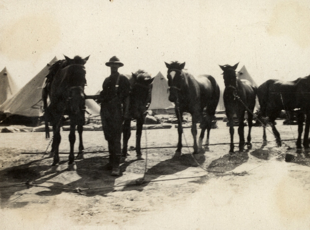 Photo from page 16 of album WWI Photograph Album  - Gallipoli and Sinai &amp; Palestine