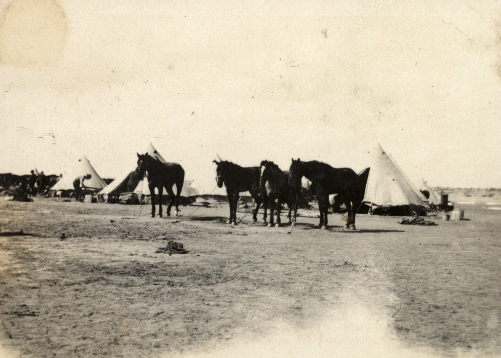 Photo from page 16 of album WWI Photograph Album  - Gallipoli and Sinai &amp; Palestine