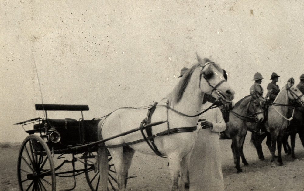 Photo from page 17 of album WWI Photograph Album  - Gallipoli and Sinai &amp; Palestine