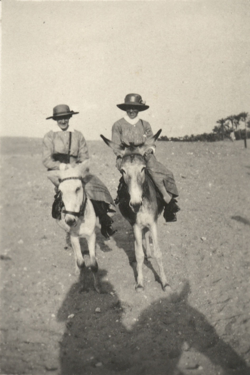 Photo from page 03 of album WWI Photograph Album - Medical Staff &amp; Nurses: Egypt and England