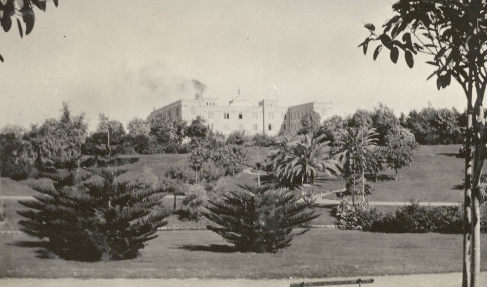 Photo from page 16 of album WWI Photograph Album - Medical Staff &amp; Nurses: Egypt and England