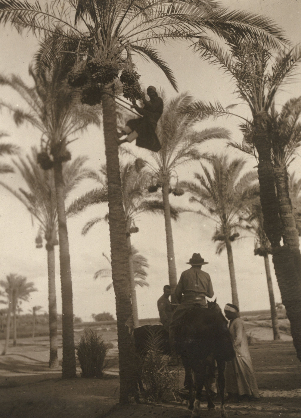 Photo from page 18 of album WWI Photograph Album - Medical Staff &amp; Nurses: Egypt and England
